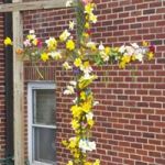 11014925_10152578844121653_3471944628879675879_n